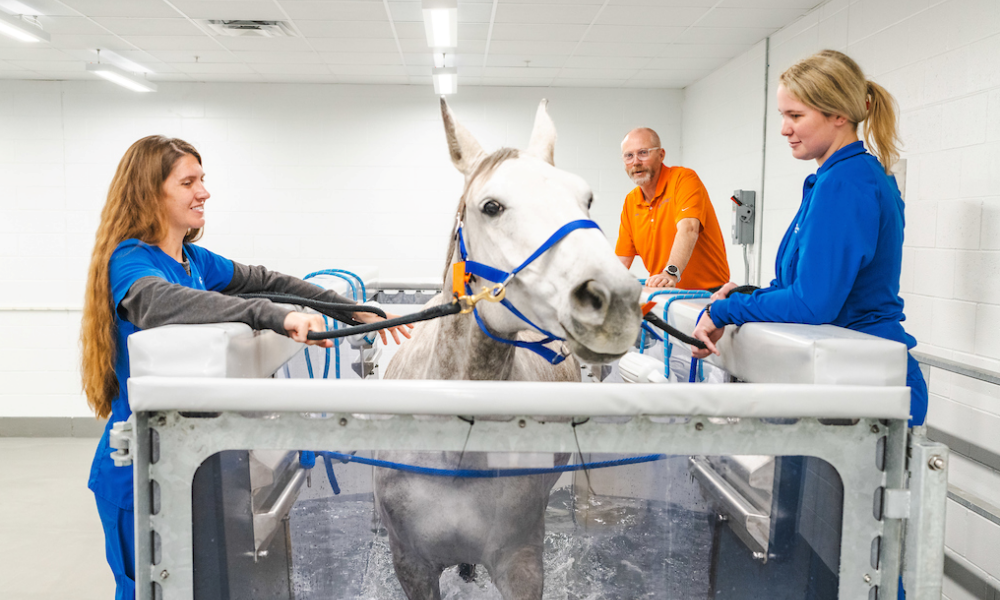 Blaze w praktyce klinicznej