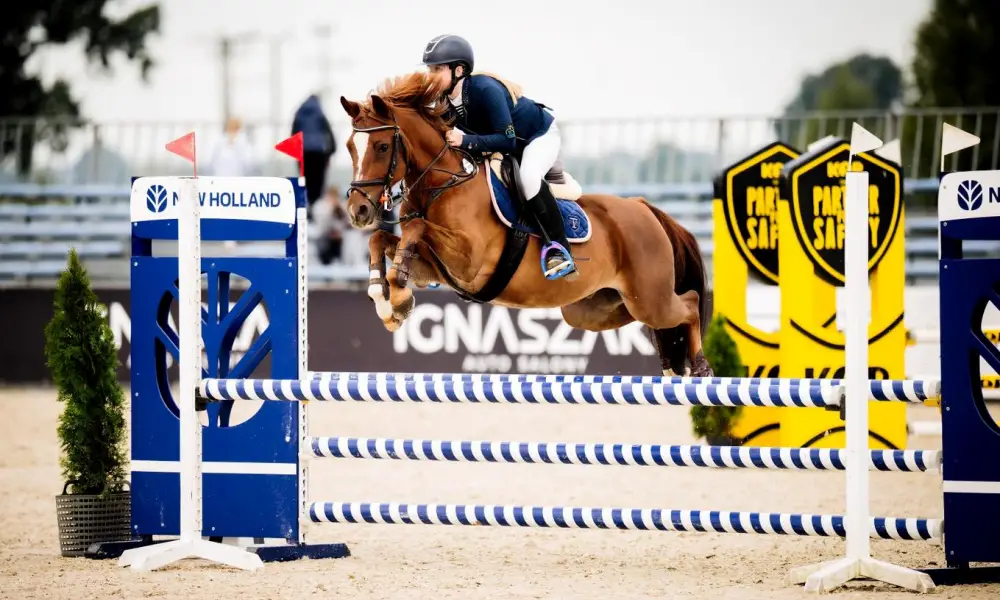 TRIGAR sponsorem wspierajacym